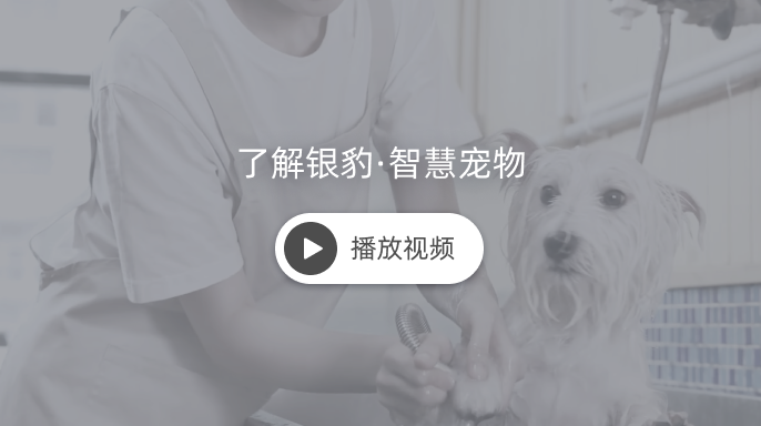 点击观看银豹宠物介绍视频