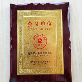 荣誉奖项 13